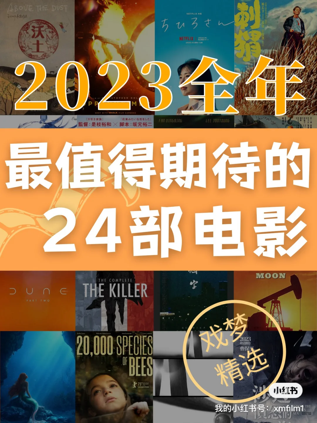 电影排行榜2023最新上映,资深解答解释落实_特别款72.21127.13.