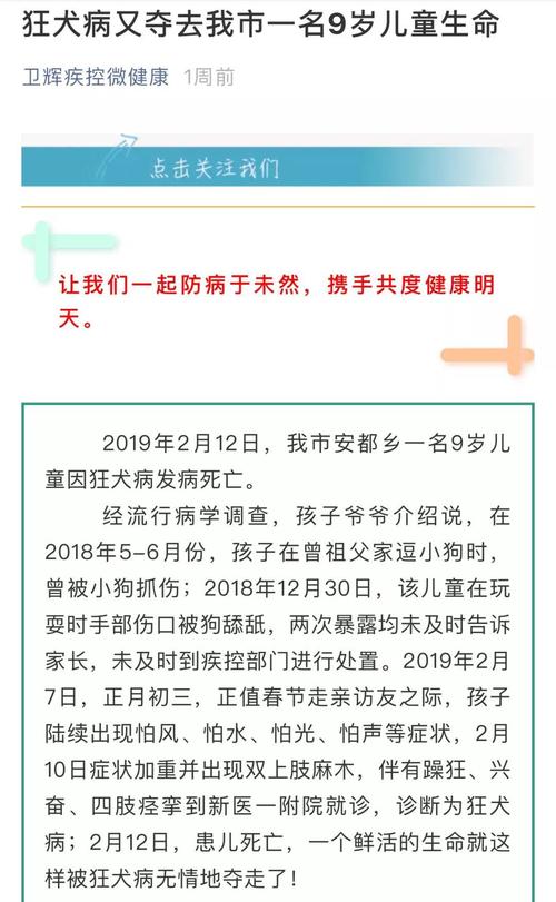 2025年天天开彩免费大全和干部驾车致男童死亡与干部开车撞人怎么处理