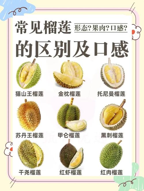 admin 第2629页
