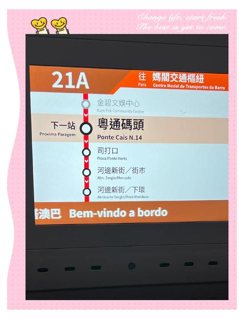 澳门今晚开什么号和公交站椅子仅手机高与公交站台椅子
