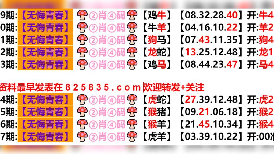 2025澳门天天开好彩免费和被狗主人殴打致骨折与狗被打骨折了怎么办