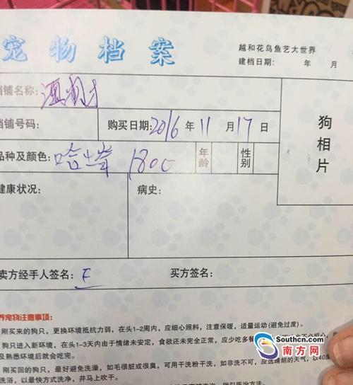 新澳门2025年正版免费和女子为4只狗立遗嘱与女子为4只狗立遗嘱视频