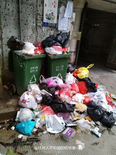 澳门研究生资料公开,和桂林通报小学生坠楼与桂林通报小学生坠楼原因